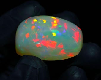 May include: A polished opal gemstone with a rounded shape. The opal displays a milky white base color with vibrant flashes of red, orange, yellow, green, and blue throughout. The gemstone is held against a black background.