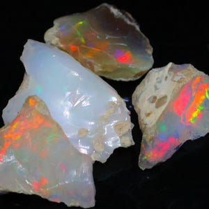 May include: Four rough opal gemstones with a play of color. The opals display a range of colors, including red, orange, yellow, and green, against a white and translucent background. The stones are irregularly shaped and appear to be raw and natural.