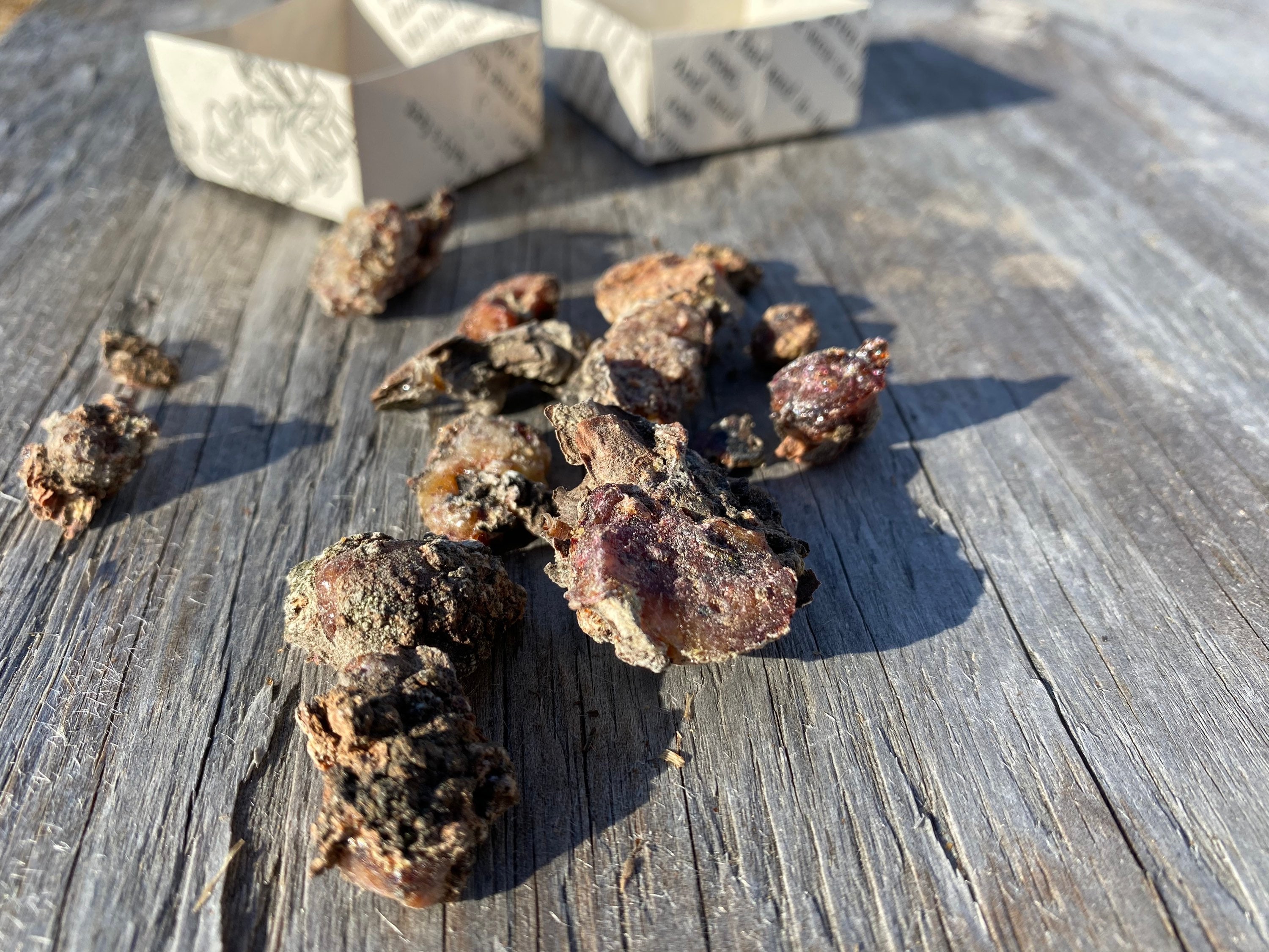 Raw organic Pine Resin created by the Pine Forest in Northern Etsy