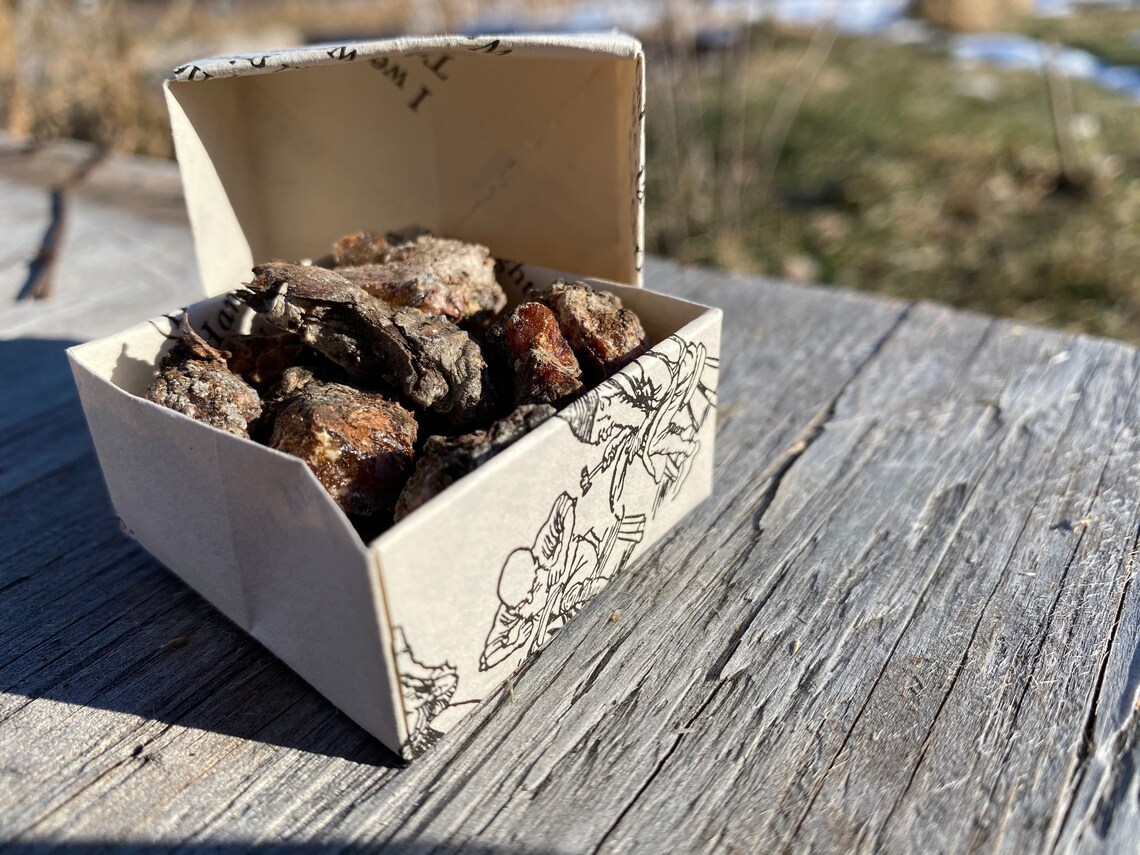 Raw organic Pine Resin created by the Pine Forest in Northern Etsy