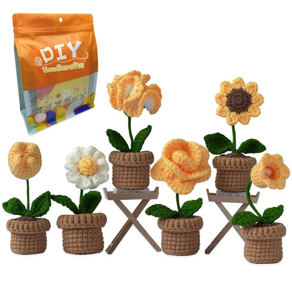 Qunland New Crochet Kit for Beginners, 6 Pcs Potted Flowers DIY Kit for  Adults and Kids, Crochet Starter Knitting Kit for Complete Beginners with