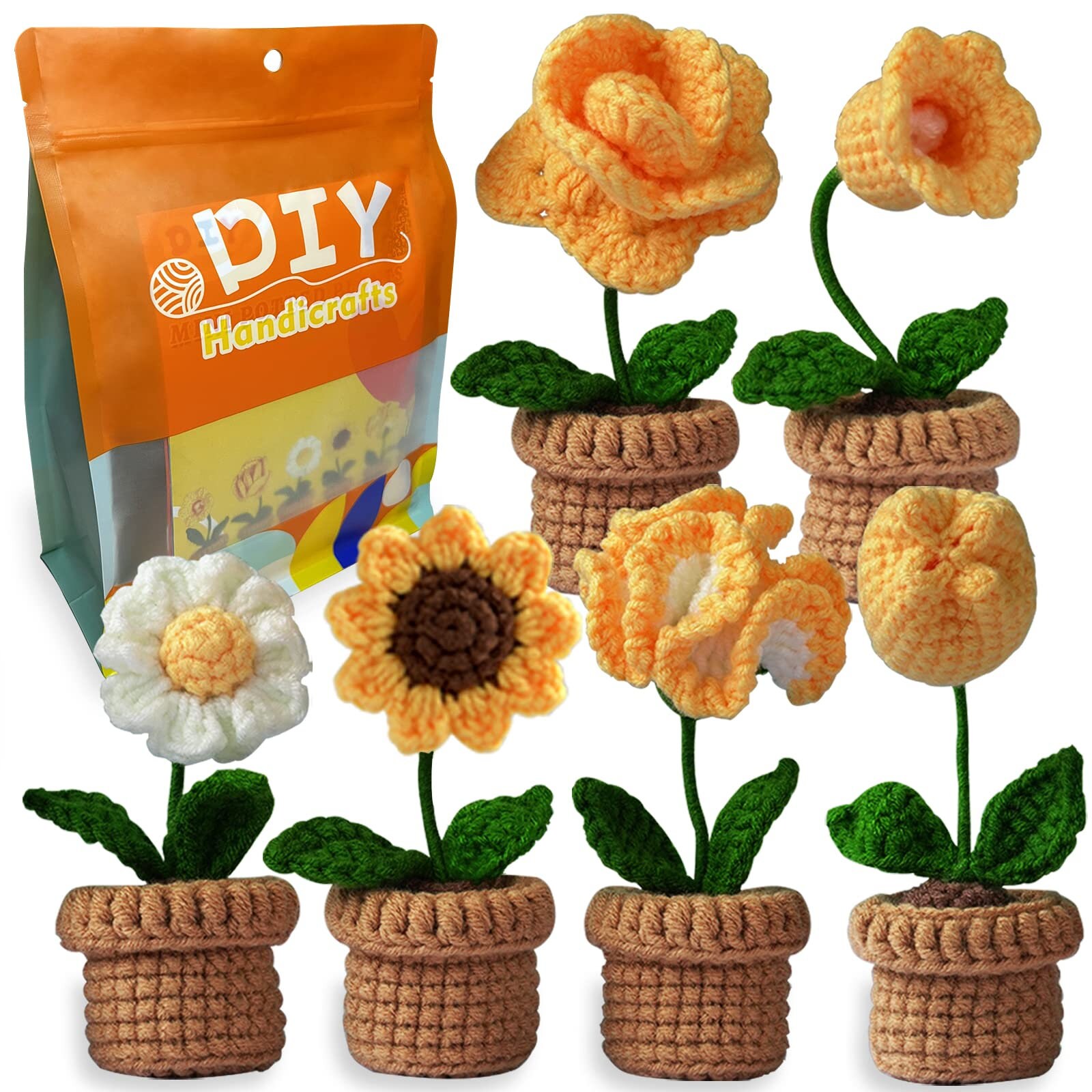  Qunland New Crochet Kit for Beginners, 6 Pcs Potted