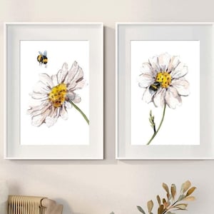 Daisy and Bee Prints, Set of Two, Daisy Floral Prints, Flower Wall Art, Daisy Flower Wall Art, Home Gift, Floral Living Room/Bedroom Prints image 1