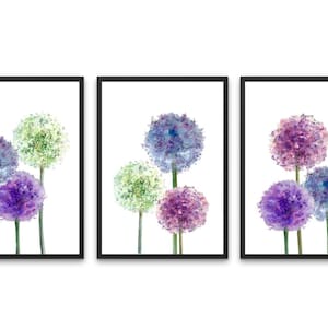 Allium Floral Prints, Alliums, Purples and green,  Flower Wall Art, Living Room Decor,  Hallway Print, Wall Art, Home Decor, Wall hanging