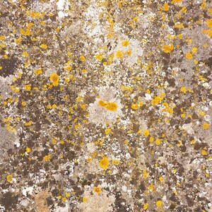 Natural stone texture. High resolution digital background, Photoshop overlay, photo background texture. DOWNLOAD