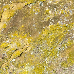 Photograph of a natural stone texture. High resolution digital background, Photoshop overlay, photo background texture. DOWNLOAD