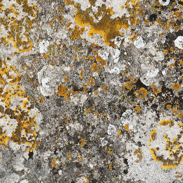 Photograph of a natural stone texture. High resolution digital background, Photoshop overlay, photo background texture. DOWNLOAD