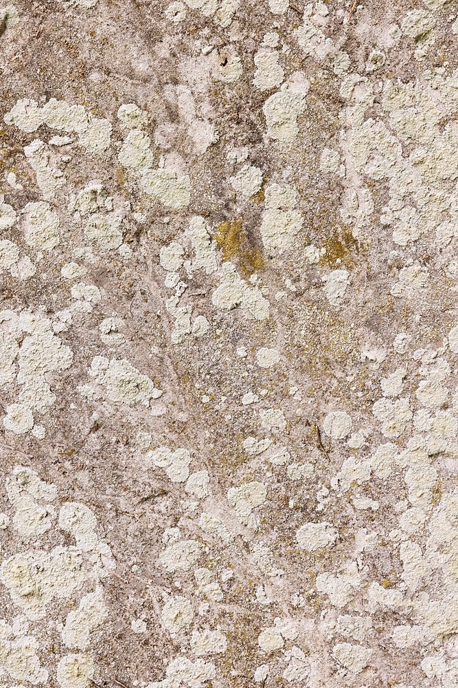 Photograph of a Natural Stone Texture With Lichen. High Resolution ...