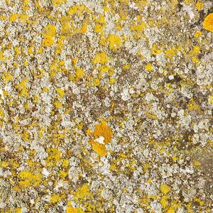 Photograph of a natural stone texture. High resolution digital background, Photoshop overlay, photo background texture. DOWNLOAD