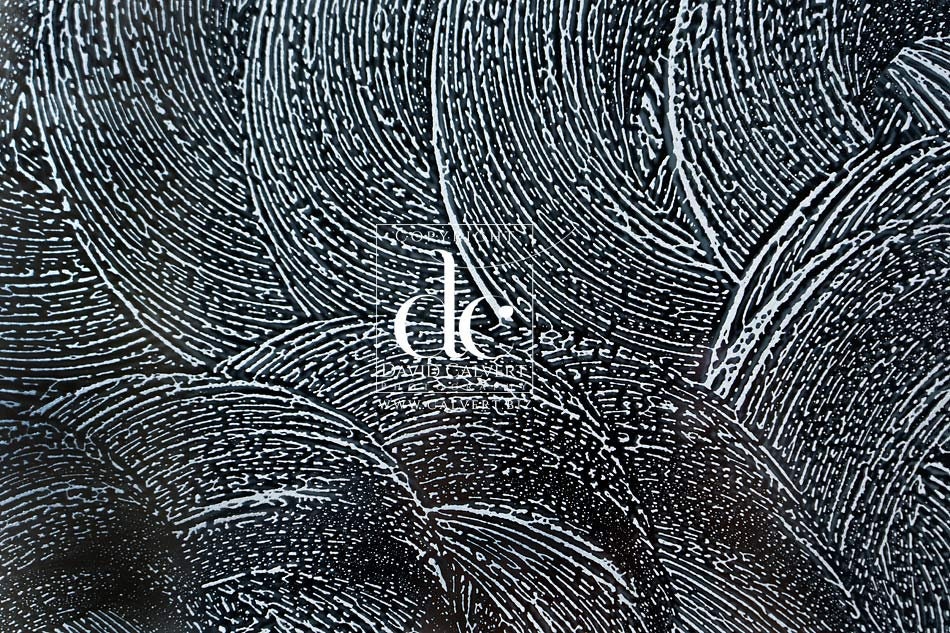 Swirling Soap Sud Foam Pattern on Window With Dark Background