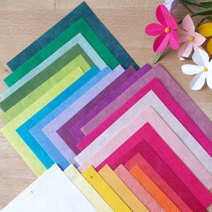 VARIEDADE de 24 quadrados de papel nepalês nas 24 cores da cartela de cores Eye of Paper para hobbies criativos DIY origami scrapbooking