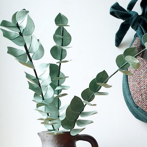 Peut inclure: Un pichet en céramique gris avec une large ouverture et une anse, rempli d'une branche d'eucalyptus verte. Un bol rempli de mandarines oranges se trouve sur une surface en bois à côté du pichet.