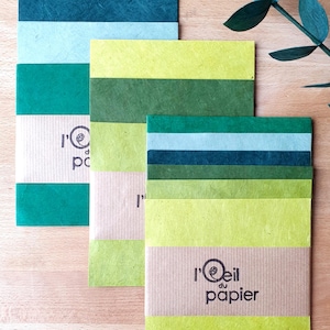 ASSORTIMENT de papiers népalais VERTS pour loisirs créatifs DIY origami collage découpage scrapbooking reliure encadrement art végétal