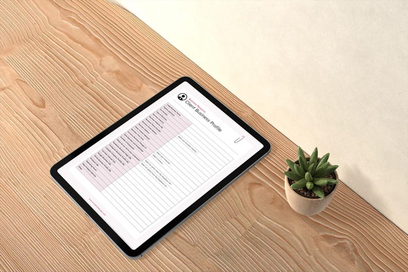 Editable Client Profile Template: Google Docs Business Intake Form ...