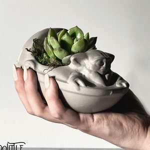 May include: A gray concrete planter shaped like a character from a popular science fiction franchise, holding a green succulent plant. The planter is held in a hand against a white background. The planter has the text "DooLittle Dorks" on the bottom left.