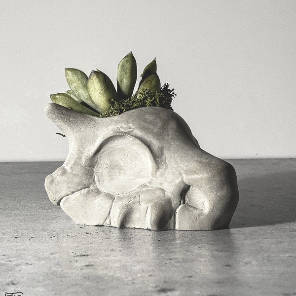 Cubone Skull Concrete Planter | Christmas Succulent Planter