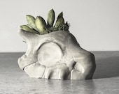 Cubone Planter | Handmade Concrete Succulent Planter | Halloween Planter