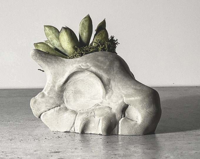 Cubone Skull Concrete Planter | Christmas Succulent Planter