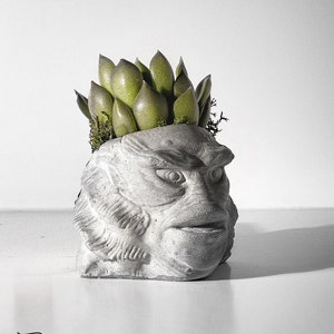 May include: A gray concrete planter shaped like a creature from the black lagoon with a green succulent plant growing out of the top.