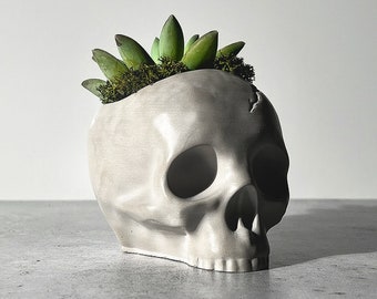 May include: A white ceramic skull planter with a small succulent plant growing out of the top.