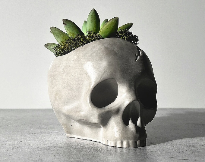 Handmade Concrete Skull Planter: Gothic Home Decor | Halloween Skeleton Succulent