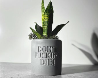 Maceta "Por favor, no te mueras" - Maceta de hormigón / Planta suculenta de serpiente para Halloween
