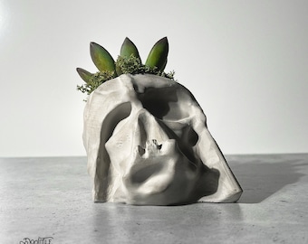 May include: A gray concrete skull-shaped planter with a succulent arrangement. The planter has a weathered appearance, with visible texture and shadows. The succulent leaves are green and brown, and the arrangement includes green moss. The planter is on a gray surface.