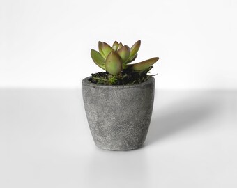 stormtrooper planter