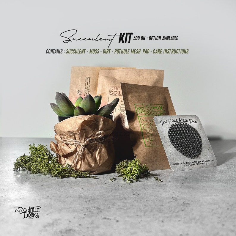 Puede incluir: Un kit de suculentas con una suculenta artificial en una maceta envuelta en papel, musgo, tierra, una almohadilla de malla para agujeros y instrucciones de cuidado. El kit incluye el texto "Succulent Kit" y "DooLittle Dorks".