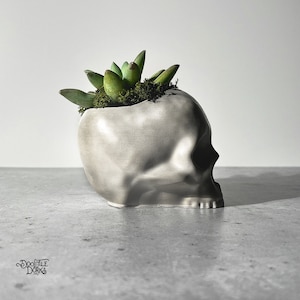 May include: A white ceramic skull planter with a succulent plant growing out of the top. The skull has a detailed design and a smooth, matte finish.