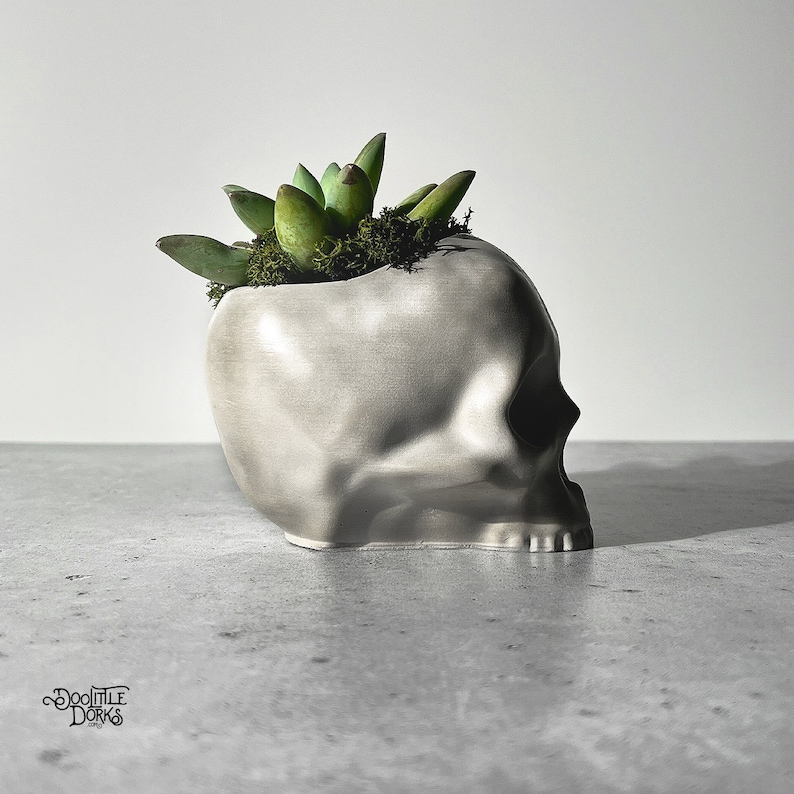 May include: A white ceramic skull planter with a succulent plant growing out of the top. The skull has a detailed design and a smooth, matte finish.