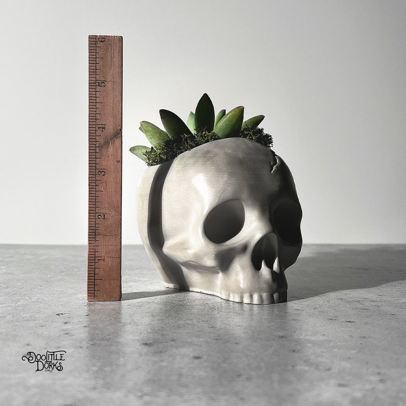 May include: A white ceramic skull planter with a green succulent plant growing out of the top. The skull has a crack on the side and is sitting on a gray surface.