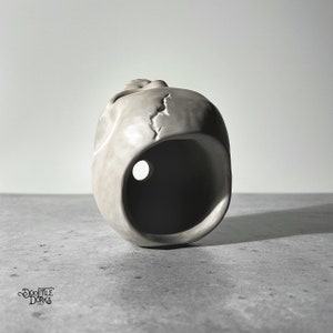 May include: A gray ceramic skull planter with a hole in the bottom for drainage. The skull has a crack on the side.