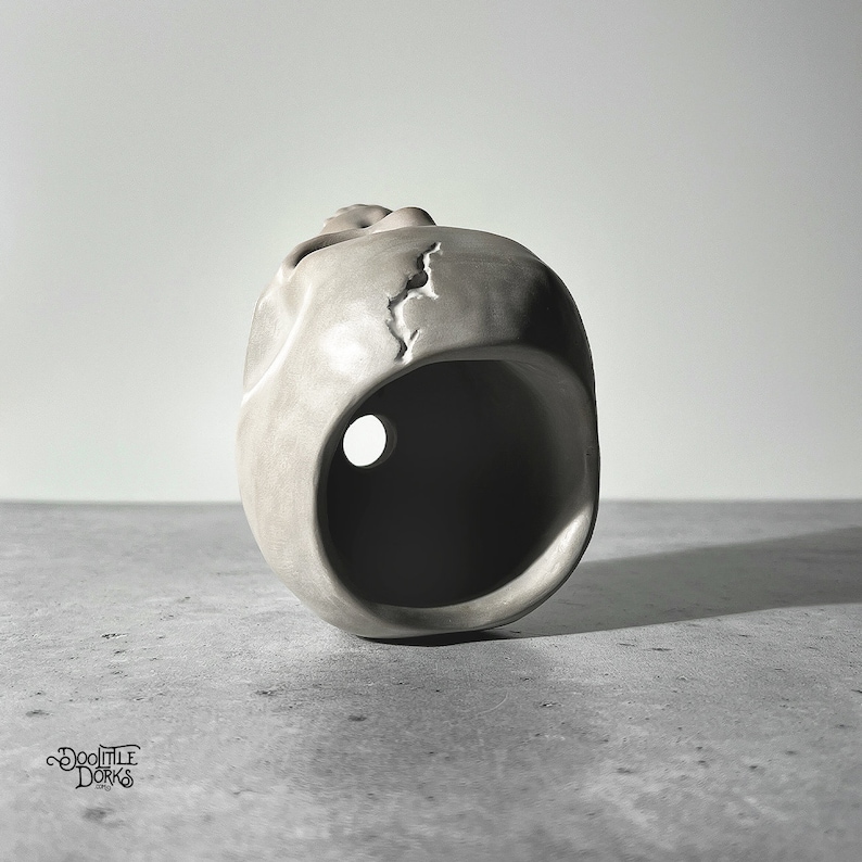 May include: A gray ceramic skull planter with a hole in the bottom for drainage. The skull has a crack on the side.