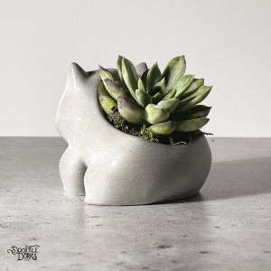 Puede incluir: Una maceta gris de hormig&oacute;n con forma de gato que contiene una planta suculenta verde. La maceta tiene un acabado liso y un dise&ntilde;o caprichoso. La suculenta tiene hojas verdes con puntas rojizas, y la maceta est&aacute; llena de musgo.
