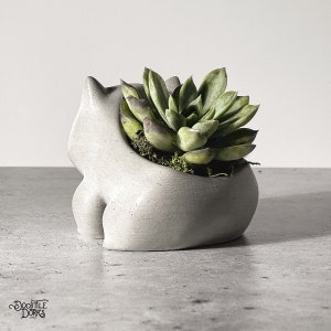 Bulba Planter Concrete Succulent Planter Office Decor Home Decor Modern Planter image 4