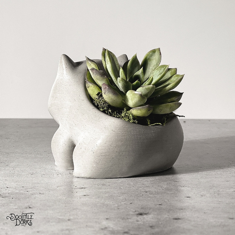 Puede incluir: Una maceta gris de hormig&oacute;n con forma de gato que contiene una planta suculenta verde. La maceta tiene un acabado liso y un dise&ntilde;o caprichoso. La suculenta tiene hojas verdes con puntas rojizas, y la maceta est&aacute; llena de musgo.