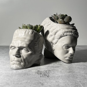 May include: Two gray ceramic planters shaped like Frankenstein's monster and his bride, each with a small succulent plant inside.