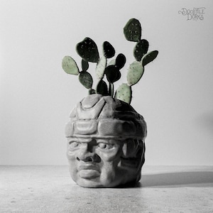 May include: A gray, sculpted head planter with a cactus. The planter is in the shape of a face with detailed features. The cactus has green, paddle-shaped leaves. The background is a plain white wall. The text "DOOLITTLE DORKS" is in the upper right corner.
