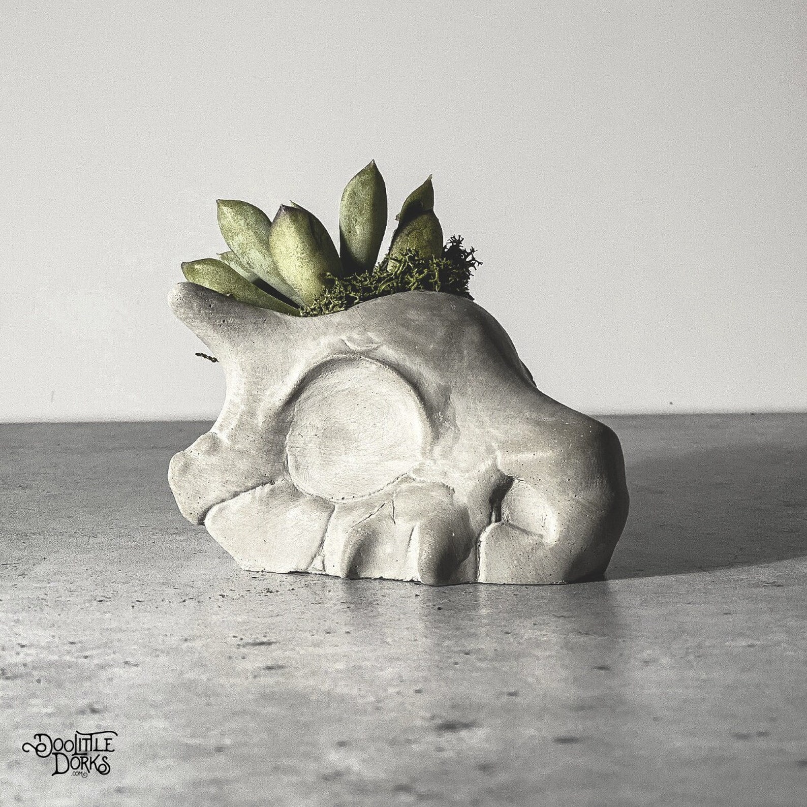Cubone Skull Concrete Planter | Christmas Succulent Planter