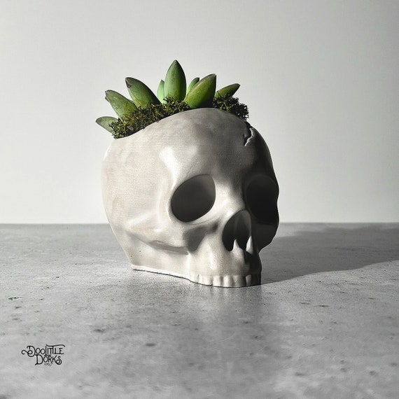 Handmade Concrete Skull Planter: Gothic Home Decor | Halloween Skeleton Succulent