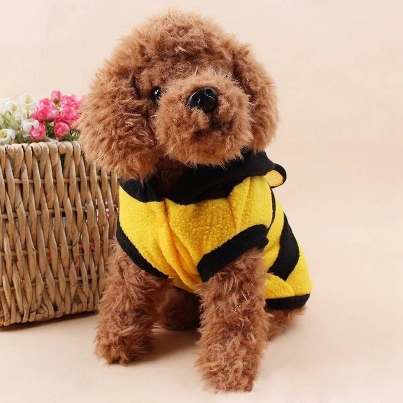 Dog Bee Costume Pet Bee Fancy Dress Dog Bee Outfit Gift Etsy UK