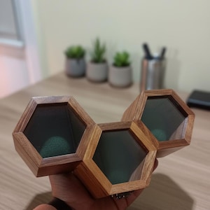 May include: A wooden display case featuring three connected hexagonal compartments with clear glass lids and dark green velvet interiors. The structure is crafted from natural brown wood with visible grain patterns, designed to hold small items securely.