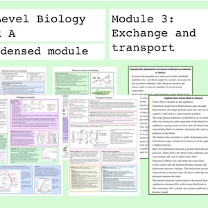 May include: A green and white handout with the title "A Level Biology OCR A Condensed Module" and "Module 3: Exchange and Transport". The handout contains text and diagrams about exchange surfaces and transport in animals and plants.