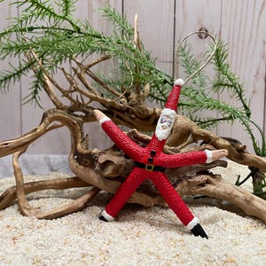 May include: Red starfish Christmas ornament with a Santa Claus face and white beard. The ornament is hanging from a piece of twine.