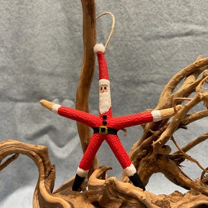 May include: A red and white starfish ornament painted to look like Santa Claus. The ornament has a white beard, black eyes, and a black belt. The starfish is hanging from a brown branch.