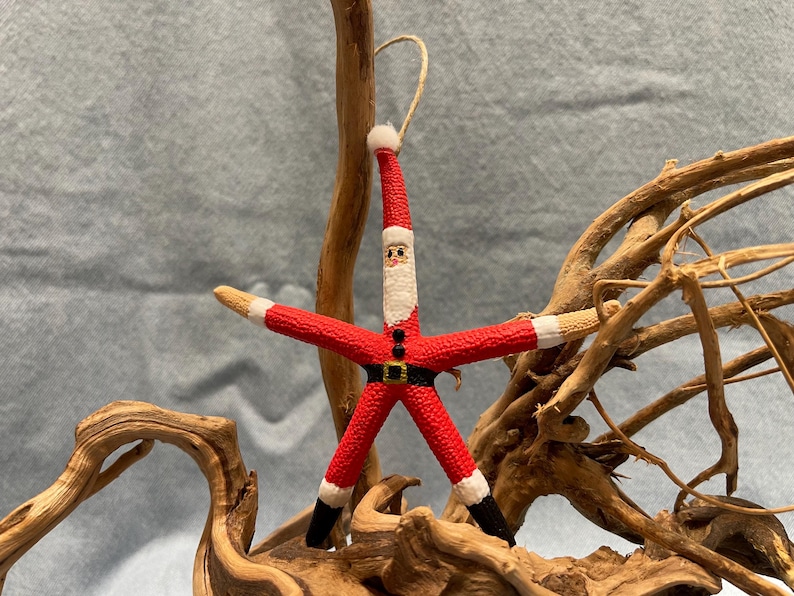 May include: A red and white starfish ornament painted to look like Santa Claus. The ornament has a white beard, black eyes, and a black belt. The starfish is hanging from a brown branch.