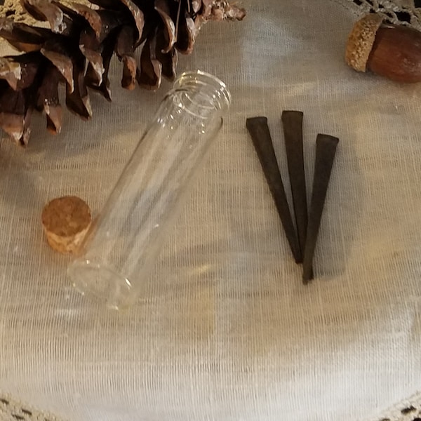 Coffin Nails / Iron / Cabinet of Curiosities / for Sour Jar or War Water