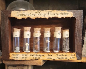 Cabinet of Tiny Curiosities - six curios in mini wood display box