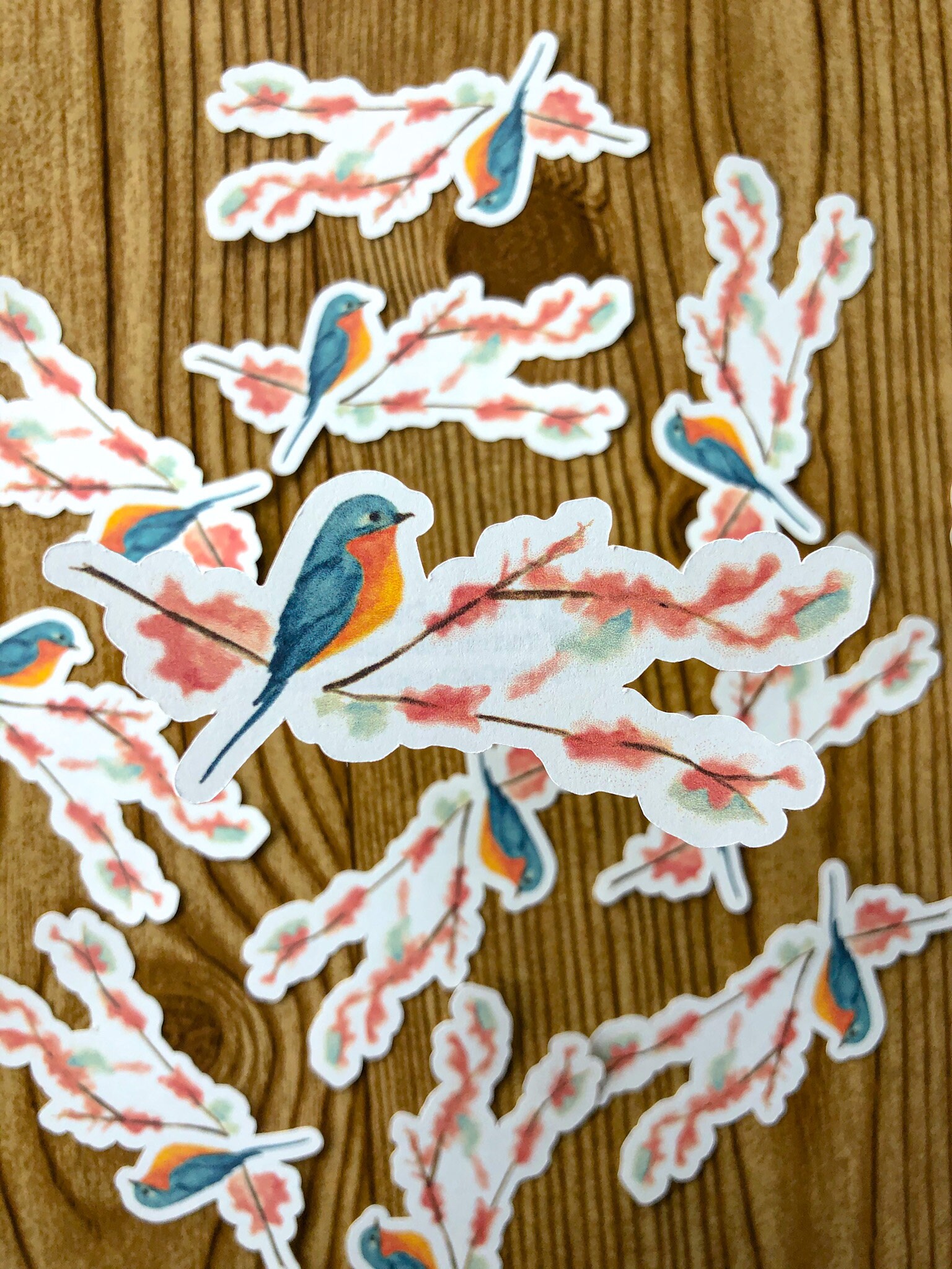 Bluebird Watercolor Sticker Bluebird on Branch Sticker - Etsy